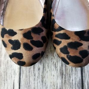 Steve Madden Leopard Flats